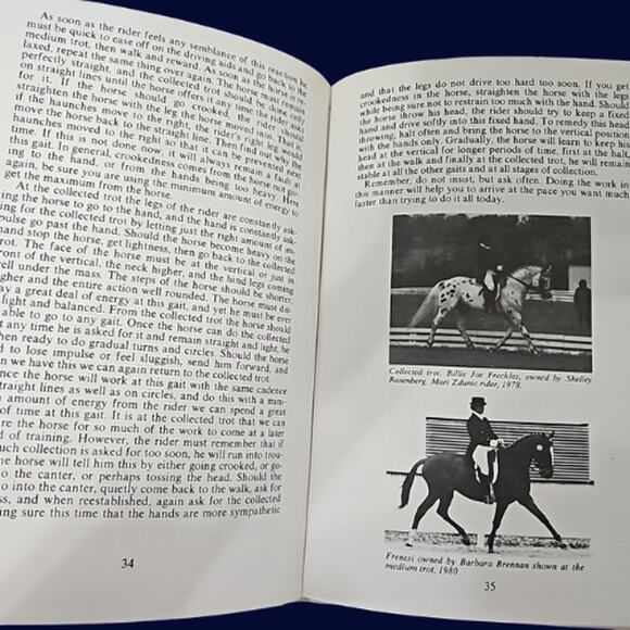 American Dressage by Chuck Grant - Picture 5 of 5